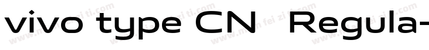 vivo type CN简 Regula字体转换